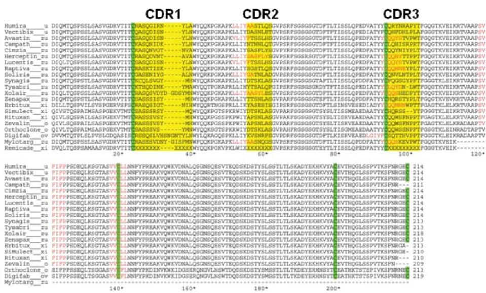 Fig. 11. Sequence alignment of light chains of commercial mAbs. The letters at the end of the mAb brand name are used to indicate its source
