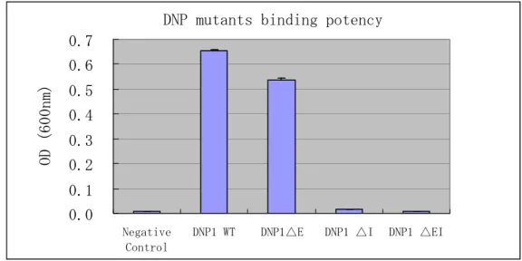 Fig. 15.  抗 DNP 抗体 mutant の DNP に対する結合 