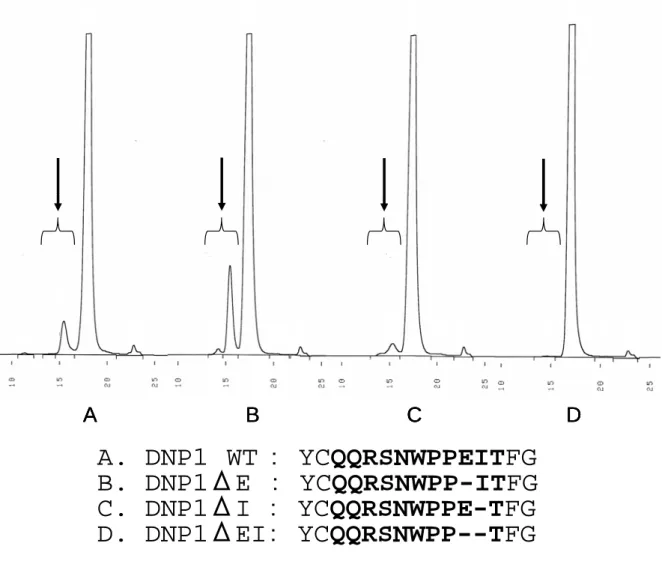 Fig. 16.  抗 DNP 抗体 mutant の配列及び SEC による凝集体比較