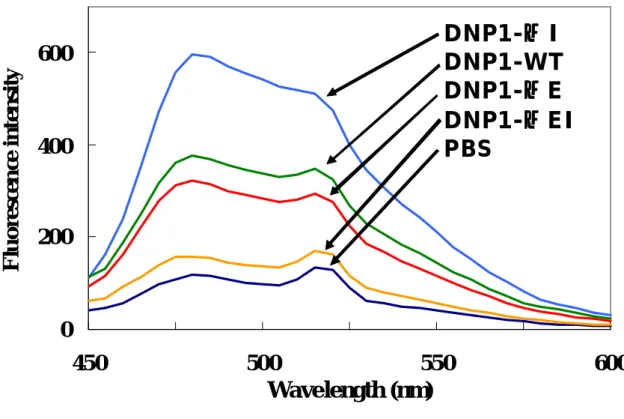 Fig. 17.  抗 DNP 抗体 mutant の ThT 強度測定 