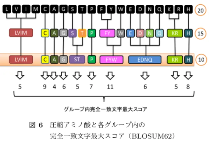 図 6 圧縮アミノ酸と各グループ内の