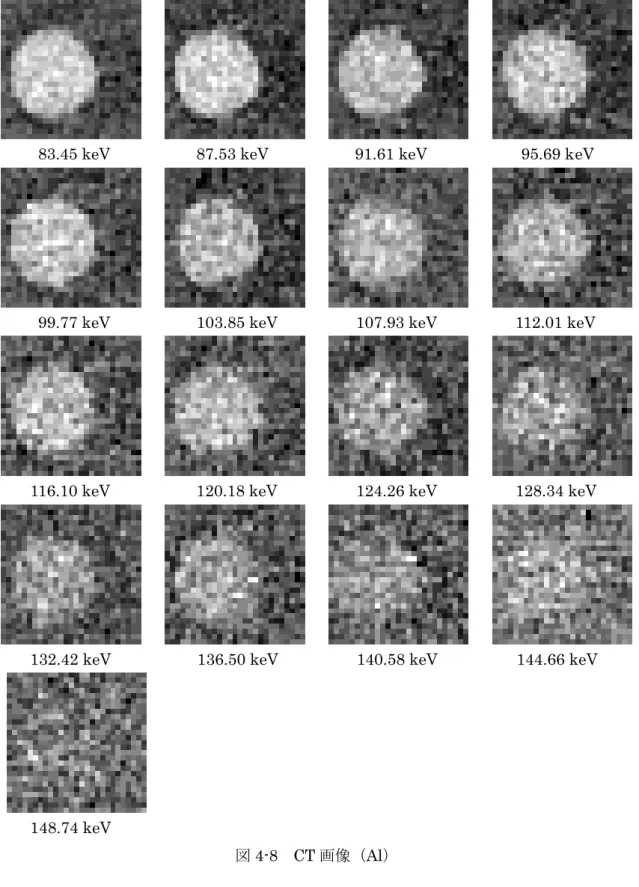 図 4-8  CT 画像（Al） 