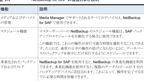 表 1-1に NetBackup for SAP の主な機能を示し、マニュアルで使用される用語につい て説明します。