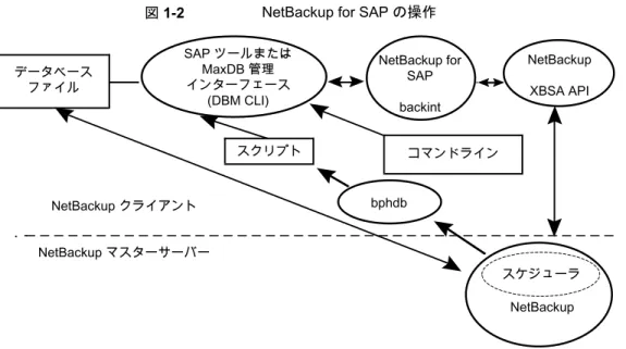 図 1-3 に、Oracle データベース環境(RMANを使わない場合）における NetBackup for SAP のコンポーネントを示します。