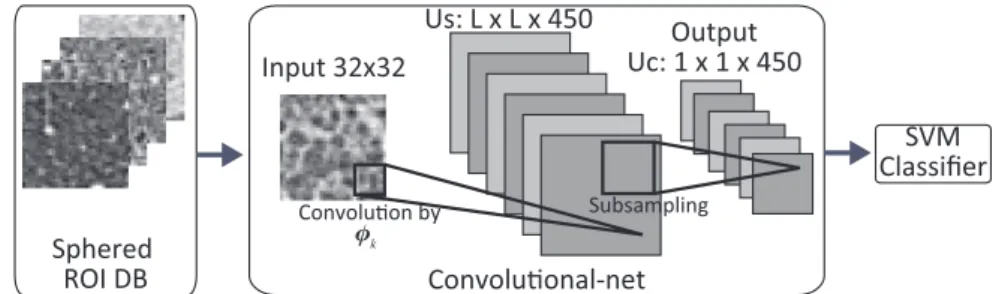 Fig. 2 Schematic diagram of our CAD system using convolutional-net. In the convolutional-net part, each rectangle shows cell plane which includes same type of cells arranged in the 2D array.