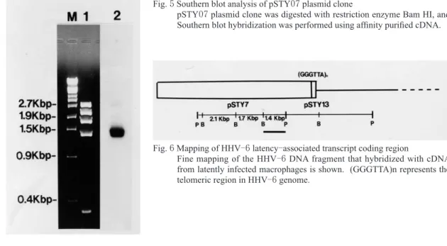 Fig.  6  Mapping of HHV -6  latency - associated transcript coding region