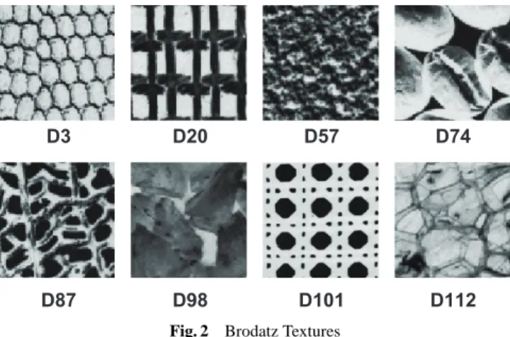 Fig. 2 Brodatz Textures