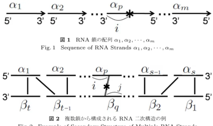 図 2 複数鎖から構成される RNA 二次構造の例