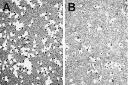 Tabl e 2. I nges t i on  of  Staphylococcus aur eus  cel l s by  L929 f  i br  o-bl as t s   OK1 (CFU/wel l ) OK11 (CFU/wel l ) (1