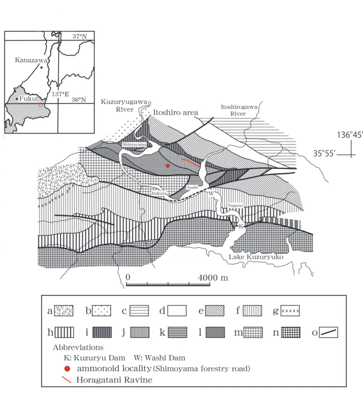 FIGURE 2. Geologic map of the Itoshiro area of the Kuzuryu district, Ono City, Fukui Prefecture, Central Japan （modified from Sano  et al., 2013 and compiled from Yamada et al., 1989）