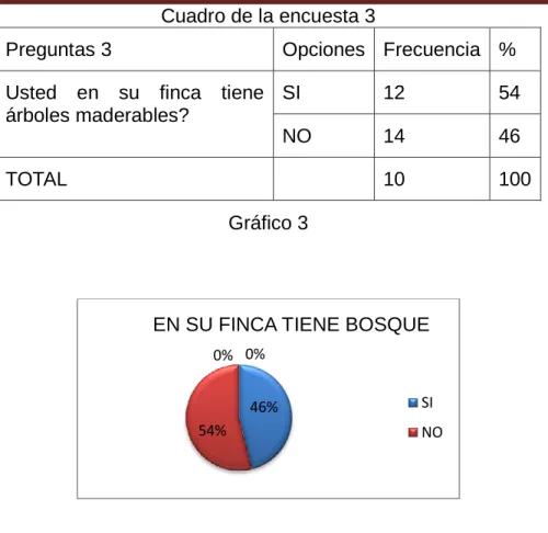 Cuadro de la encuesta 4 