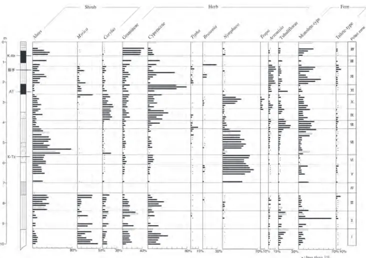 Fig. 5 Shrub pollen, herb pollen, fern spore diagram of OK4. See Fig. 2 for the legend of the stratigraphic sequence and Fig