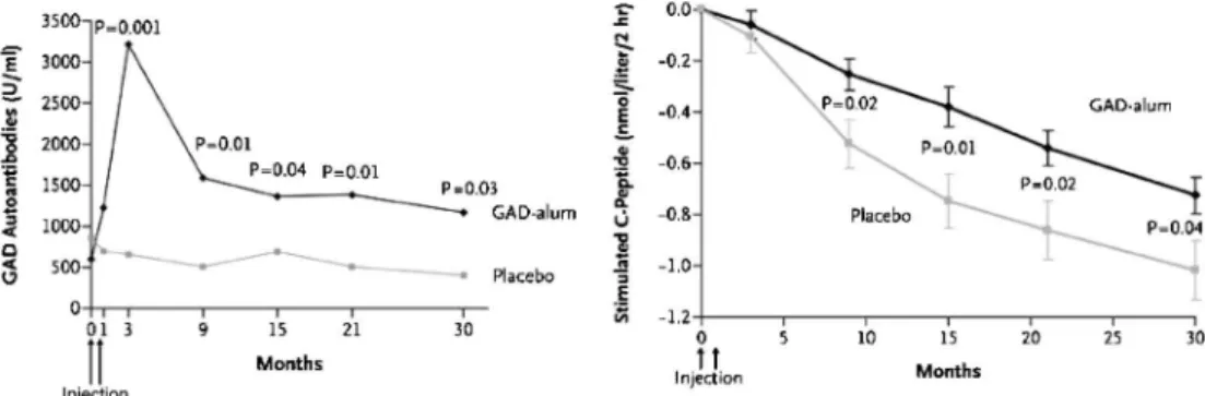 図 3 発症後 1 型糖尿病患者への GAD-alum 皮下投与治療後 30 ヶ月間の抗 GAD 抗体価と負荷後 C- ペプチドの推移（N Engl J Med. 2008; E-pub より抜粋） 存とインスリン必要量の減少効果が報告された（図 2）．しかし，副作用として，伝染性単核球症様の症 候出現を認めた 1) ．また，抗原特異的免疫寛容誘導 療法では，NOD マウスにて，グルタミン酸脱炭酸 酵素（GAD）投与による，発症後の進展抑制を認 めることから，発症直後のヒト 1 型糖尿病患者に， Alum 
