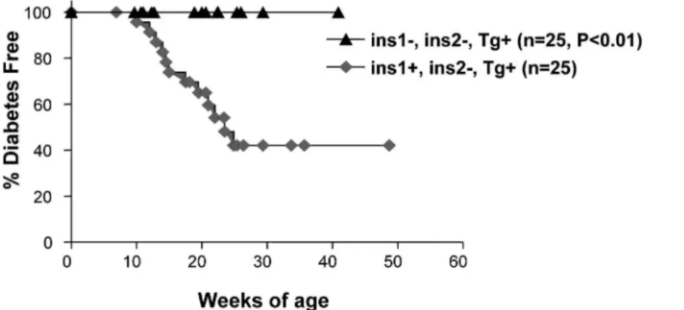 図 5 内因性インスリン欠損 x B: 16 Ala 変異インスリン発現 NOD マウスでの，糖尿病発症抑制． （Nakayama, M, Abiru, N et al. Nature