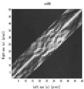 Fig. 18 A model for the detection mechanism of interocularly unpaired regions.