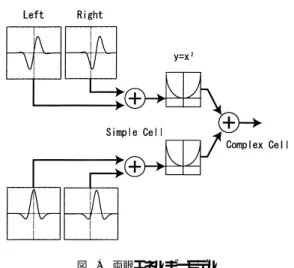 Fig. 14 A binocular energy neuron that prefers non-zero disparity. れた視差選択性ニューロンの応答と非常によく一致す るモデルで，ニューロンの視差応答特性が anti-RDS に対し反転する現象も説明できる． 両眼エネルギーモデルの概要を図 14 に示す．この モデルではニューロンの受容野特性をガボール関数で 記述する（ 1 次元空間のみを考えた場合，式 (2) とな る ） ． x は空間あるいは網膜位置を表す連続変数， σ i はガウス関