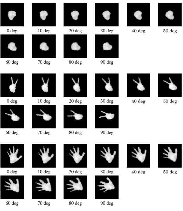 図 3.3「グー」「チョキ」「パー」の回転画像 30 枚(51×51 画素) 