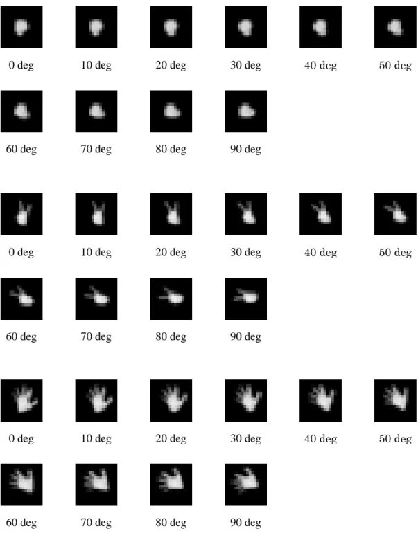 図 4.4  16×16  画素の低解像度画像 