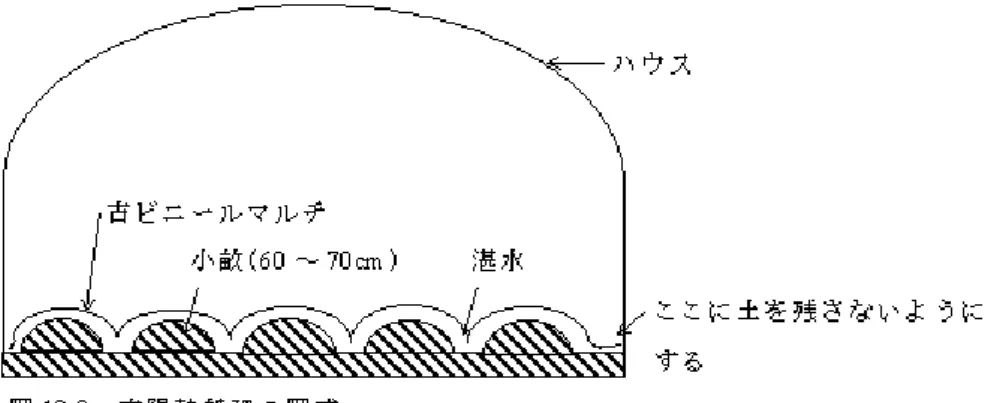 図 14  ハウス密閉による土壌消毒   注 ）http://www.pref.wakayama.lg.jp/prefg/070109/dojouhiryou/sankou12.htm   （イ）蒸気消毒            ａ  消毒蒸気の種類                無加圧蒸気：ボイラーは軽量安価、蒸気は大気圧程度。                加圧蒸気  ：無加圧より僅かに熱量が大きいがボイラーは高価 。                過熱蒸気  ：熱量が大きいがボイラー代価に見合うほどでは