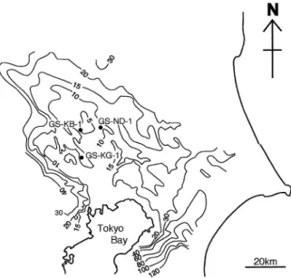 Fig.  2  Contour  map  showing  elevation  (T.P.+,  m)  of  upper  surface  of  terrace  deposits  after  Kodama  et  al