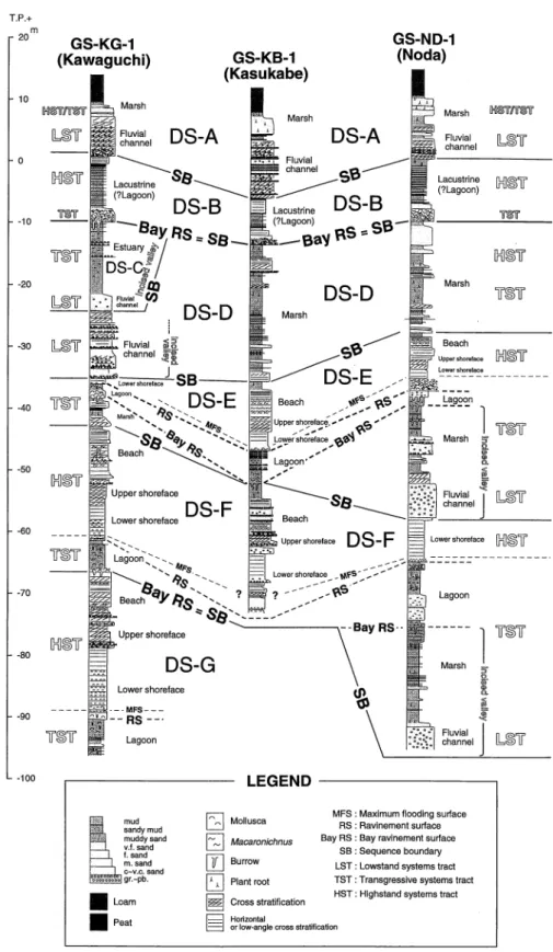 Fig.  5  Columnar  sections  of  cores  showing  stratigraphic  distribution  of  sedimen- sedimen-tary  facies  and  depositional  sequences.