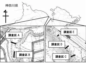 図 -1  調査地概況および調査区設置図  (左)高木道正山  (右)古淵鵜野森 
