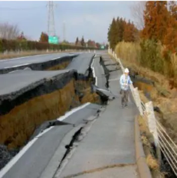 図 1.1  地震動を受けた盛土の崩壊事例 5) 