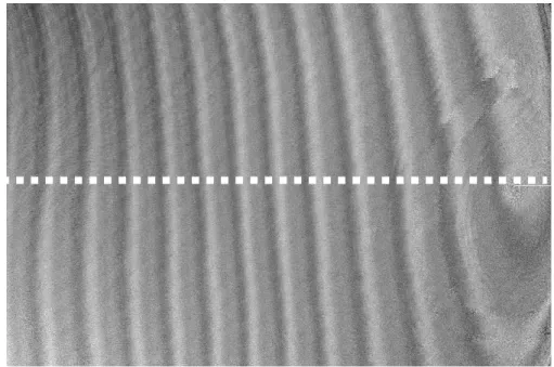Fig. 4-13   偏光間の差                45°―  135°  以上の結果、広範囲測定をしたときに観察される歪みは波面の影響はない、偏光方位 よる違いはない、ということから歪みの原因は基板自体の光学的厚みの変化によるもの と考えられる。そこで、歪みが基板の屈折率の変化である場合と厚み変化である場合の 解析を行った。 
