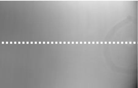 Fig. 4-20      傾き補正後の画像とラインプロファイル 