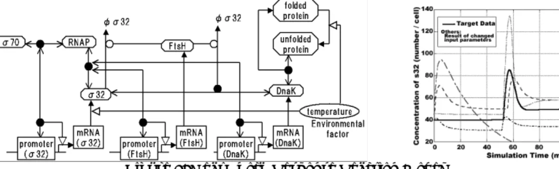 Figure 6 indicates the result of the Op-Index. In both end conditions, GA Type (6) (selecting Elite -  Random, t=2) shows higher performance than others, because DDP-Genes search the area around  the EDD Vector, where a maximum may exist