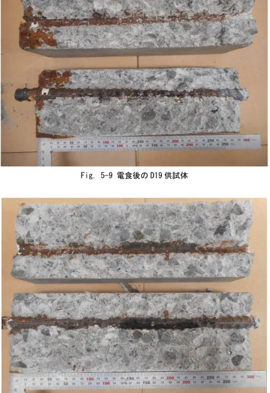 Fig. 5-10 電食後の D16 供試体 