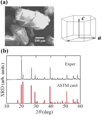 Figure 5.2  SEM 画像及び XRD 測定結果 