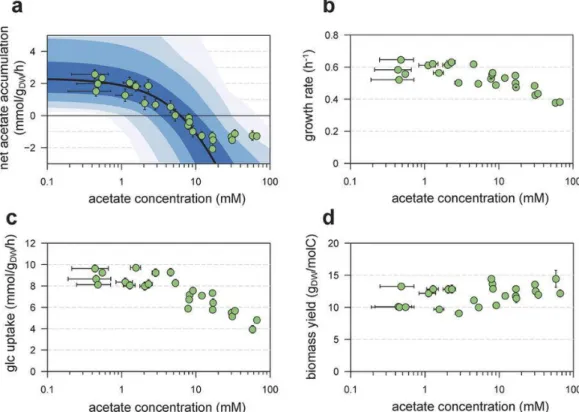 Figure 4:  In silico  analysis of the Pta-AckA pathway, and experimental validation of model predictions
