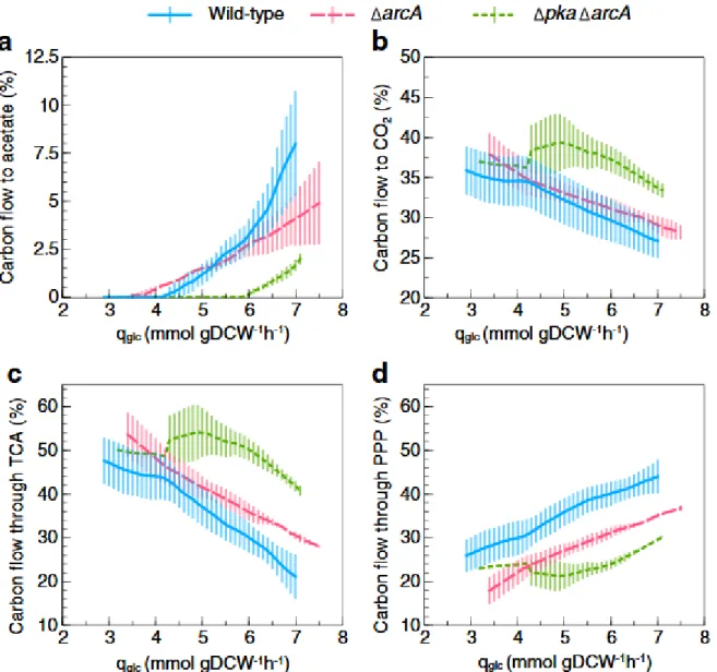 Fig. 3 Specific glucose consumption rate ( q glc )-dependent carbon flow through metabolism in  E
