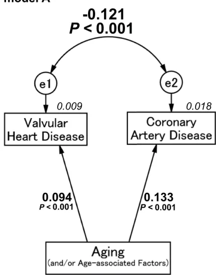 Fig 2. Path model (A): Association between whole valvular heart disease and coronary artery disease with an explanatory drawing of the possible cascade from aging