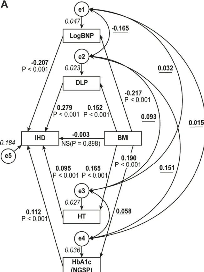Fig 1. Path model A: Explanatory drawing of possible cascade from BMI to IHD directly and via the low reactivity of BNP, dyslipidemia, hypertension, and HbA1c