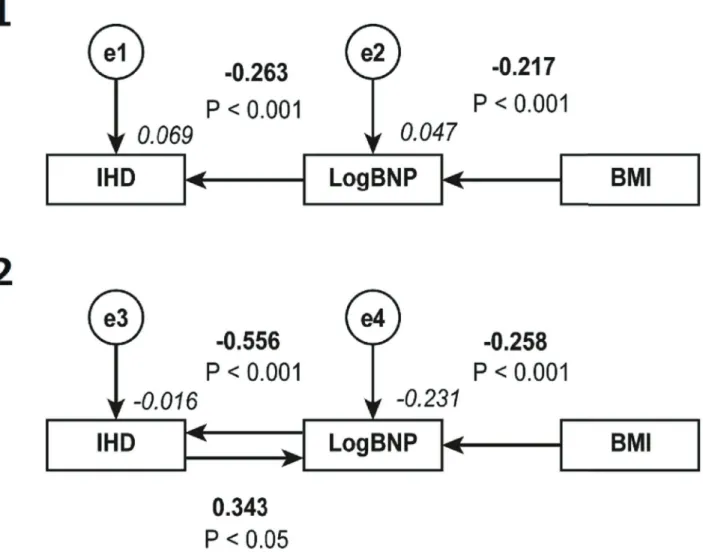 Fig 2. Path models B1 and B2: explanatory drawing of Ppossible cascade from BMI to BNP and further to IHD