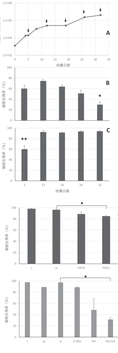 図 3  KmURN6Y 株の細胞数の変化 (A)，そ の培養液をそのままマダイ鰓細胞に曝露し た際の鰓細胞の生残率（ B），各サンプリング 日 の KmURN6Y 株 の 細 胞 数 を 1.4 × 10 4  cells/mL にそれぞれ希釈し，鰓細胞に曝露し た際の鰓細胞の生残率（ C）。  図 A 中の矢印はサンプリング日。図 B 中の ＊：培養 5 日目―19 日目と 32 日目の生残率 との間に有意差あり（ p&lt;0.05）。図 C 中の＊ ＊：培養 5 日目と他の培養日の生残率との間 に有