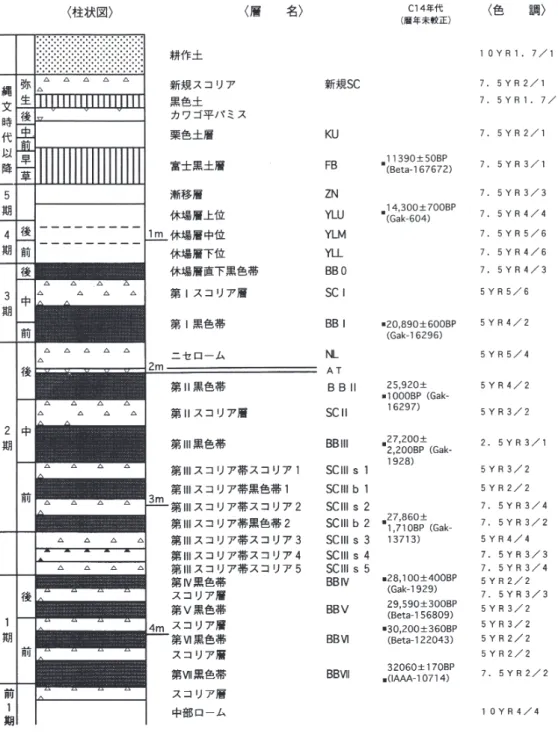 図 2　愛鷹山麓の土層模式図 ［高尾 2006] Ⅳ：二ツ洞遺跡 BB Ⅳ，SC Ⅲ：葛原沢第Ⅰ遺跡 SC Ⅲ b2・中見代第Ⅰ遺跡 SC Ⅲ s2 直上・中見代第Ⅱ遺跡 SC Ⅲ b1 ～ SC Ⅲ s1，BB Ⅲ：初音ヶ原 A 遺跡第 2 地点第Ⅲ文化層・清水柳北遺跡中尾根BB Ⅲ・中見代第Ⅰ遺跡第Ⅲ文化層，BB Ⅱ：富士石遺跡第ⅩⅡ文化層・初音ヶ原 A 遺跡第 3 地点第Ⅰ文化層・清水柳北遺跡東尾根 BB Ⅱ，NL：富士石遺跡第ⅩⅢ文化層・清水柳北遺跡東尾根 NLである。