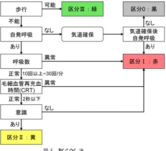 図 1 紙製のトリアージ・タッグ