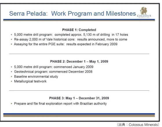 図 2-9.　Serra Pelada 金・PGM プロジェクト：2009 年探鉱活動計画