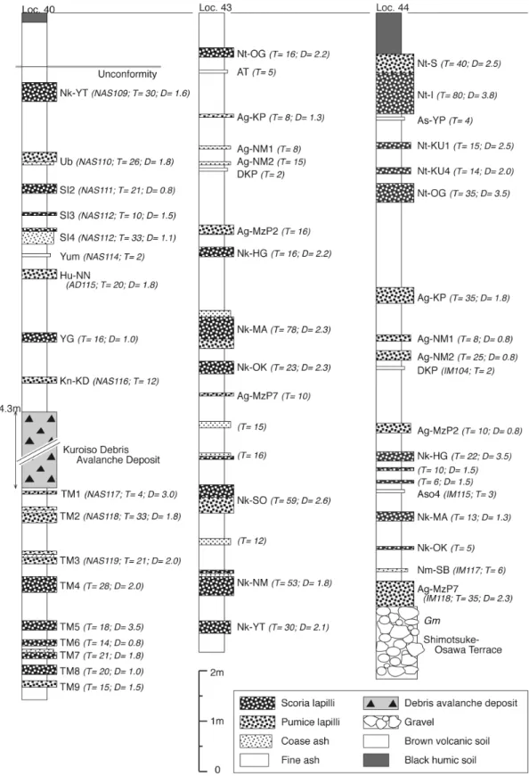Fig. 10   Stratigraphic columns at Locs. 40, 43 and 44.