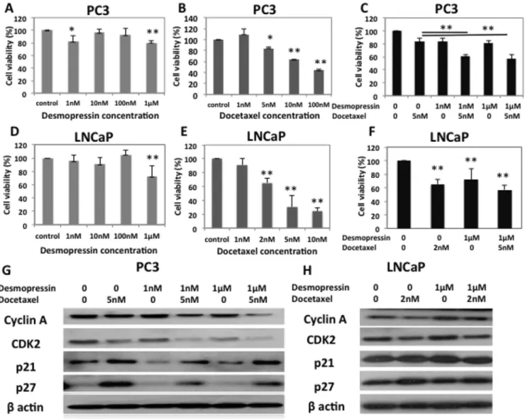 Fig. 1. Cell proliferation assay after 72 h. (A) MTS assay with PC3 cells treated with a dose range of 0e1 m M desmopressin for 72 h