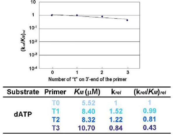 Fig. 2-28  Vent(exo-)  DNA ポリメラーゼと修飾塩基を組み込んだ鋳型を用いたときの相対触媒 効率の変化 