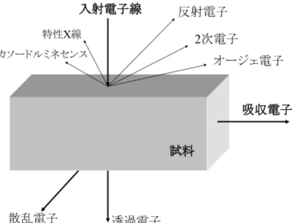 Fig. 2.4 SEM 試料状態 (7)  吸収電子  試料中に吸収される電子で反射電子と補間的な関係にある。入射電子線反射電子2次電子オージェ電子特性X線カソードルミネセンス散乱電子透過電子吸収電子試料