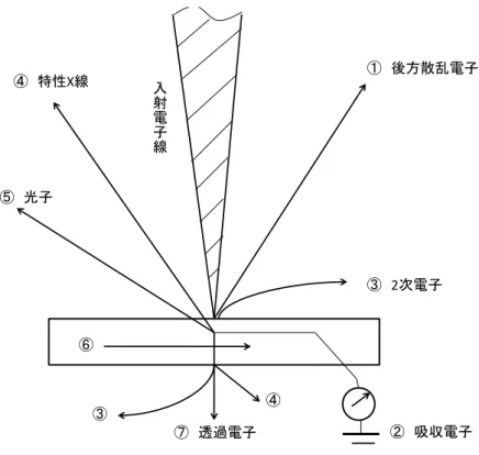 Fig. 2.6  EPMA に利用される信号 