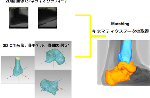 図   3 :   3 D   t o   2 D   m o d e l   r e g i s t r a t i o n   t e c h n i q u e   解 析 方 法 の 手 順  