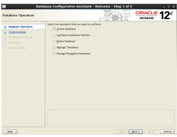 図 8.  Oracle Database Configuration Assistant のセットアップ画面 