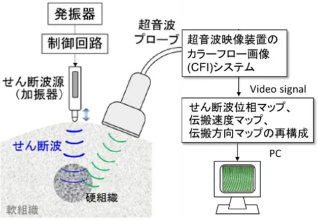 Fig. 4-1-1  実験系 
