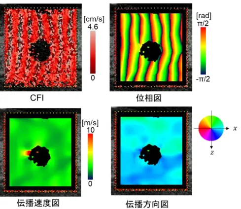 Fig. 5-2-5  供給電圧 0.88[V]でのカラーフロー画像，位相，伝播方向，伝播速度マップ 